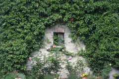 efeu-haus-rankend
