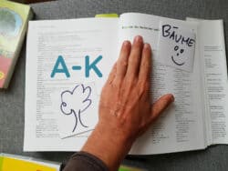 Bäume & Sträucher Lexikon Buchstabe A-K