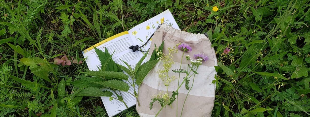 Wildkräuterbuch und Sammelsäckchen auf Kräuterwiese liegend