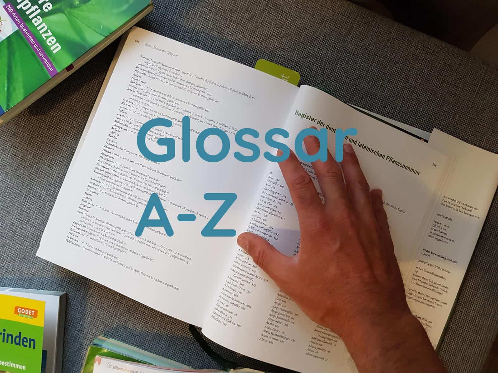 Hand auf Wildkräuterlexikon