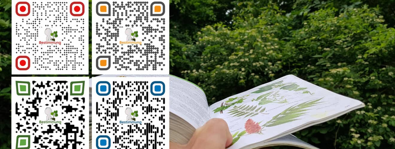 QR-Codes auf Wildkräuterbuch