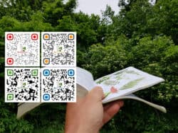 QR-Codes auf Wildkräuterbuch