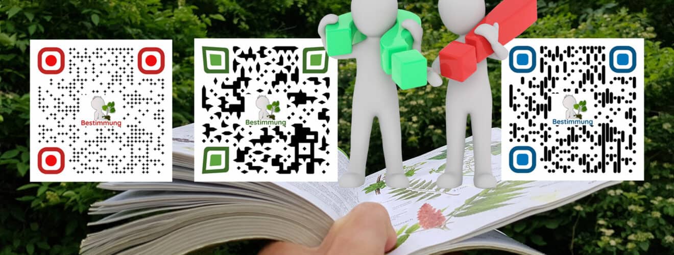 QR-Codes auf Wildkräuterbuch