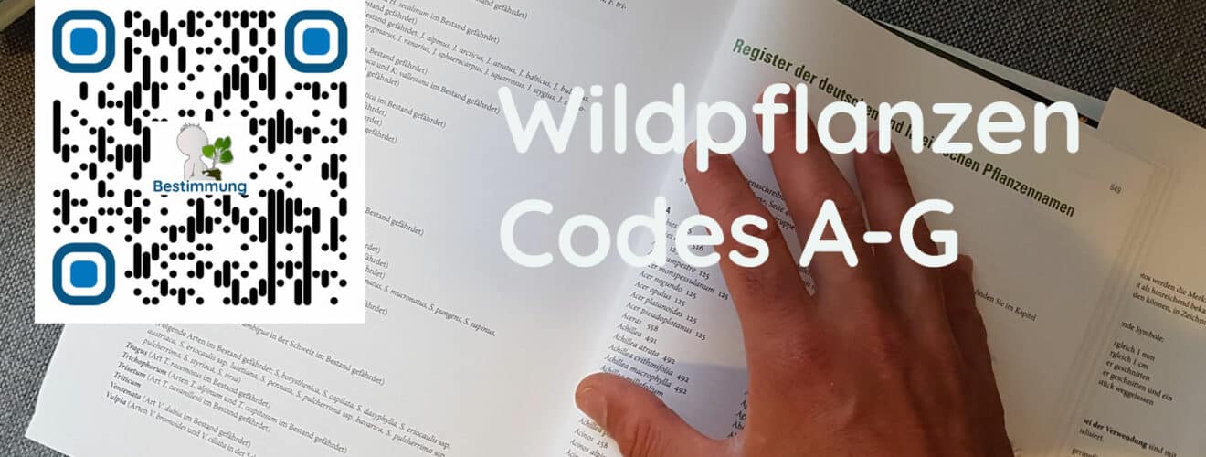 QR-Code auf Wildkräuterbuch