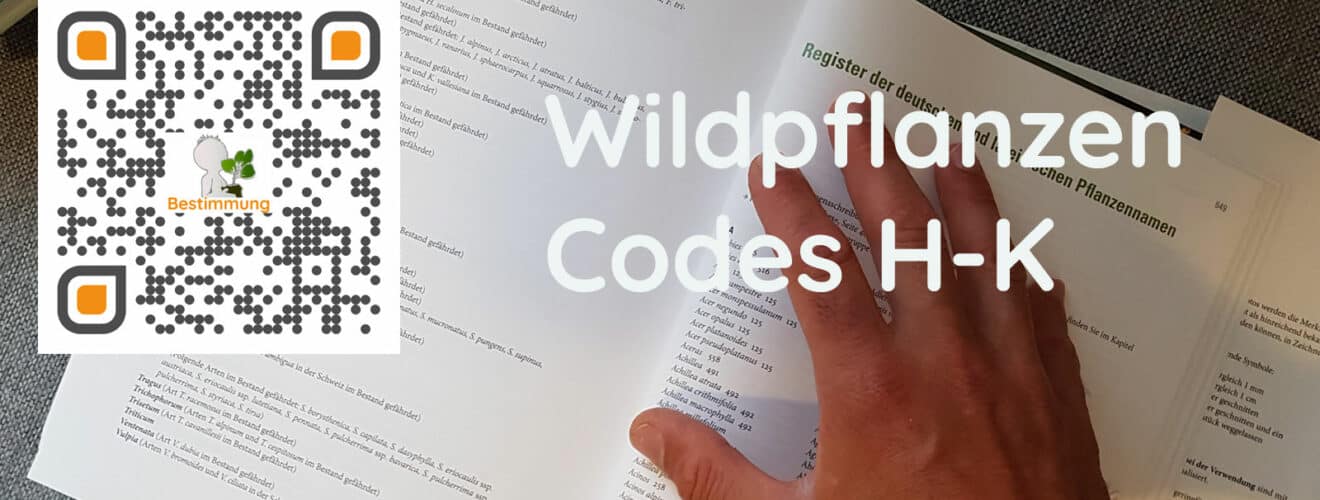 QR-Code auf Wildkräuterbuch