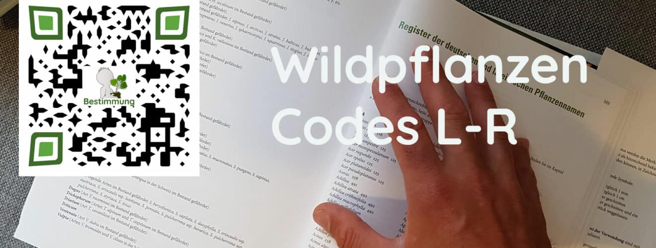 QR-Code auf Wildkräuterbuch