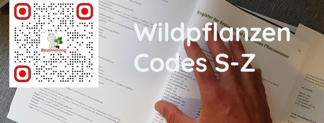 QR-Code auf Wildkräuterbuch