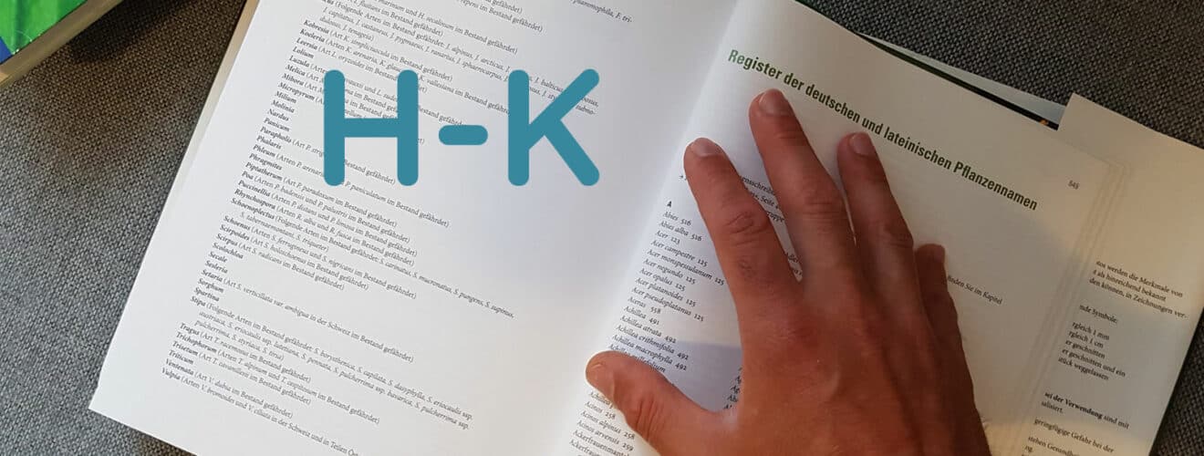 Wildpflanzen und Kräuter Lexikon - Seiten H-K Übersicht