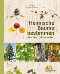 heimische baeume bestimmen 1