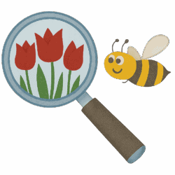 Pflanzenbestimmung Icon 2025